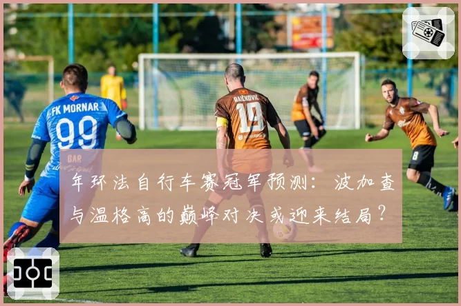 年环法自行车赛冠军预测：波加查与温格高的巅峰对决或迎来结局？