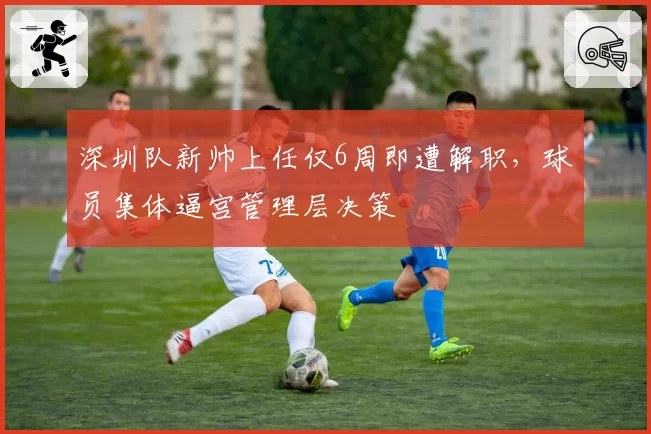 深圳队新帅上任仅6周即遭解职，球员集体逼宫管理层决策