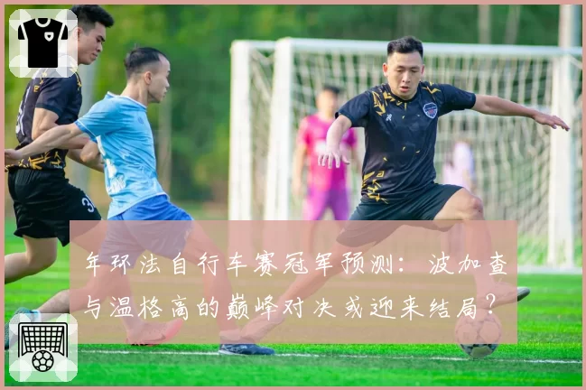 年环法自行车赛冠军预测：波加查与温格高的巅峰对决或迎来结局？